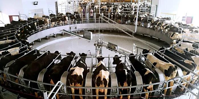 1548138513205304.jpg 55.jpg