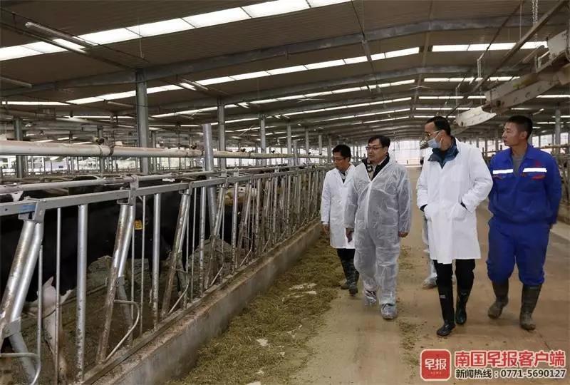 1548138546579638.jpg 8888.jpg