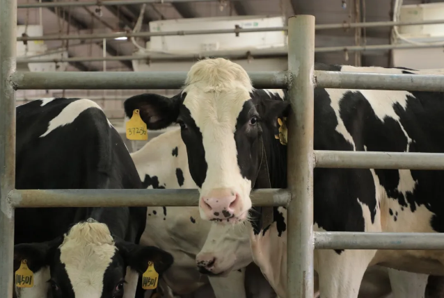 1592275792132150.png 03.png